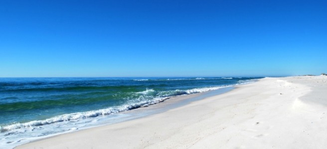 Gulf Coast beach