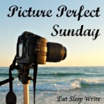 Picture Perfect Sunday badge2